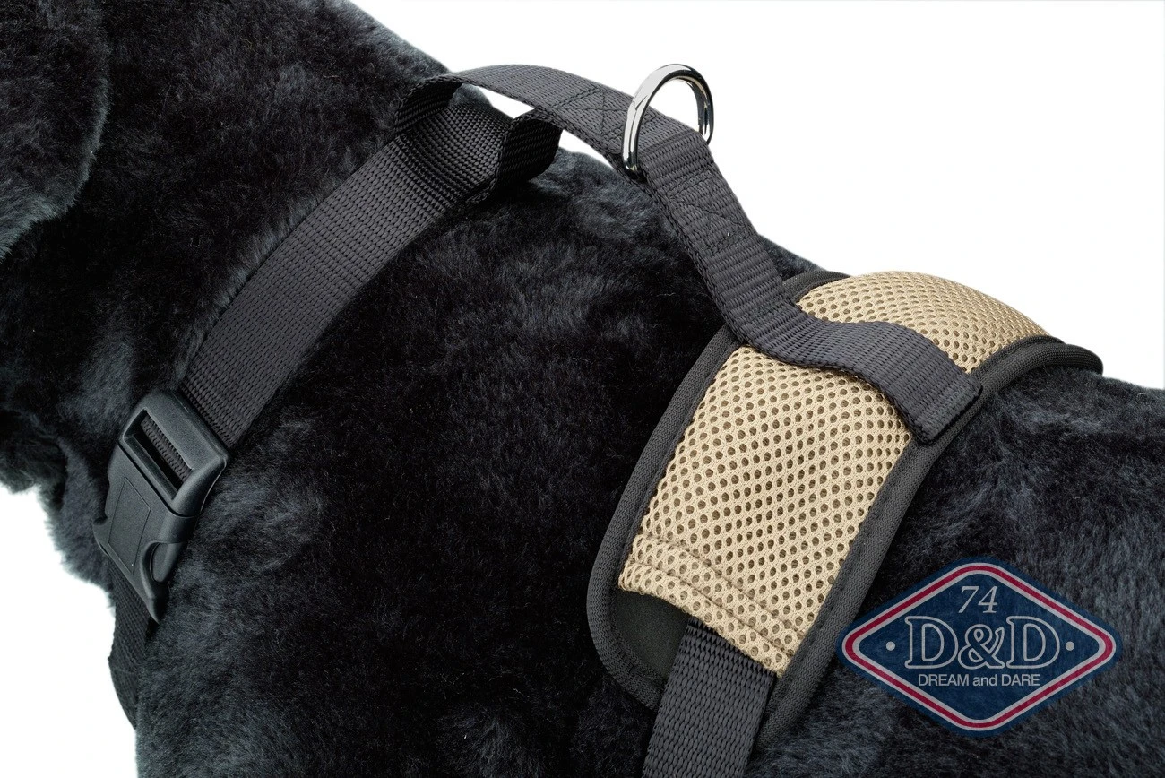 D & D All Season Hundesele XL - Hals 60-86 cm livvidde 68-94 cm